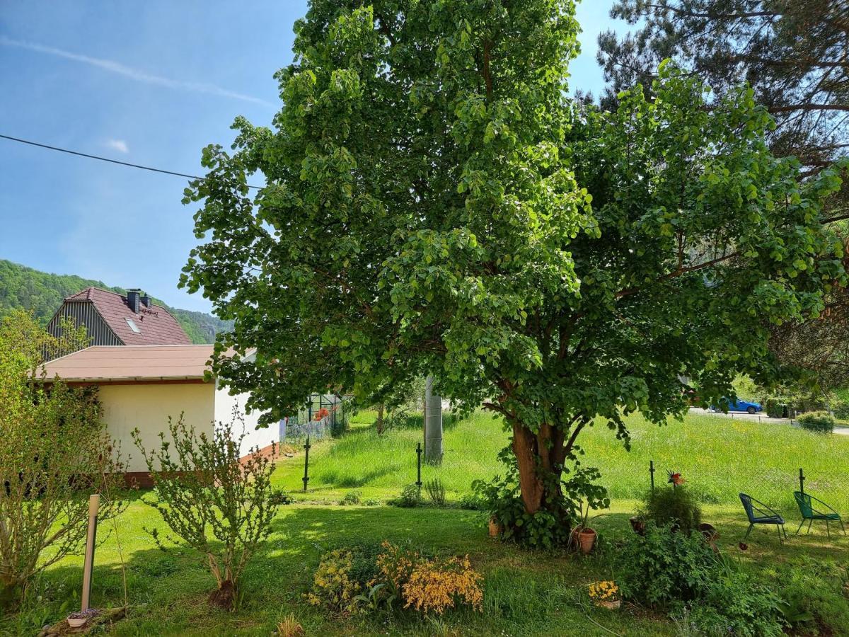 Ferienappartements Elbaussicht - Krippen Bad Schandau Exteriér fotografie