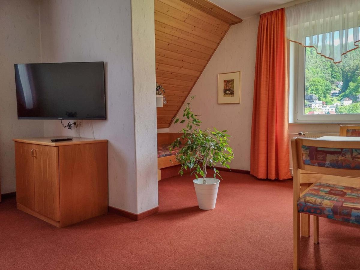 Ferienappartements Elbaussicht - Krippen Bad Schandau Exteriér fotografie